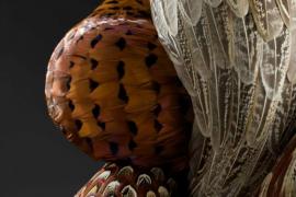艺术家Kate MccGwire 用乌鸦羽毛创作起伏的雕塑作品