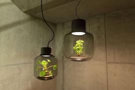 微观世界的生态系统，来自德国的创新设计灯具