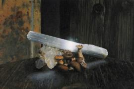 艺术家保罗·雅各布森的古典静物油画作品展