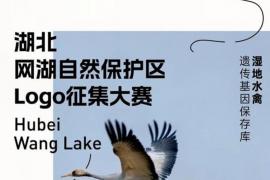湖北网湖自然保护区征集LOGO设计