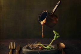 韦斯利·多姆布雷希特美术摄影：《萌芽》