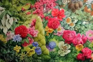 “中国博物画第一人”，这个84岁的云南爷爷有多牛？将他的画放大100倍，惊呆无数人！
