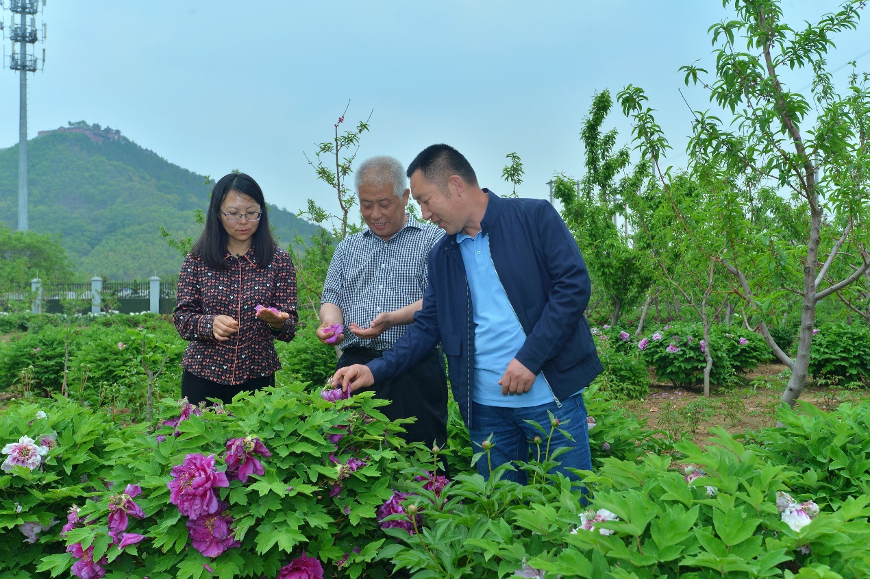 丰收的中国 春到平谷 林下经济促振兴——大型媒体采风活动在平谷启动