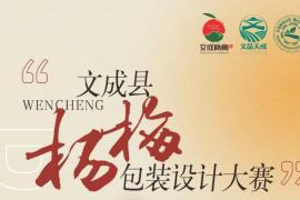 文成农产品（杨梅、糯米山药）外包装设计大赛