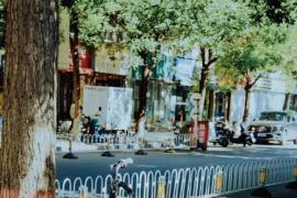 太原夏日记，当北野武式光影邂逅市井生活的质感