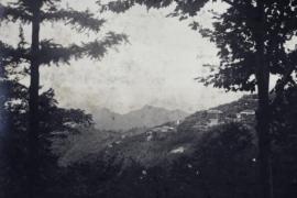 莫干山美术馆，江浙沪小地方艺术实验的在地化实践与文化突围