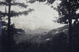 莫干山美术馆，江浙沪小地方艺术实验的在地化实践与文化突围