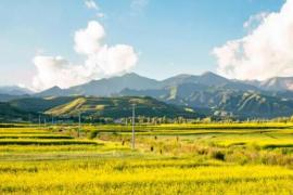 西宁：大西北的 “三无” 避暑秘境，夏季平均气温 15.1℃的清凉之都