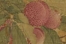御苑荔香，宋徽宗的荔枝情结与北宋院体画的巅峰之作