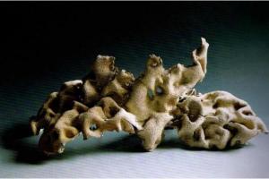 中国现当代陶艺的发展脉络与现实省思——白明的探索与洞见