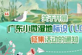 融入岭南水乡肌理与 “人水共生” 内涵！广东小微湿地标识（LOGO）面向全社会征稿