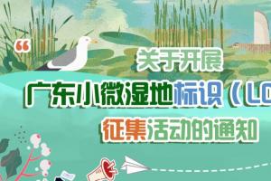 融入岭南水乡肌理与 “人水共生” 内涵！广东小微湿地标识（LOGO）面向全社会征稿