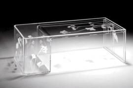 当代设计大师的玻璃创想：帕特里夏・乌奎拉与她的 Glas Italia 家具系列