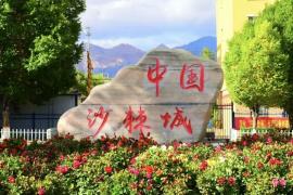 焕新团场IP！2025一七〇团 “LOGO焕新计划”创意设计大赛征集中，聚焦沙棘产业与军垦文化传承