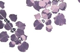 2025 “天山杯” 全国大学生葡萄与葡萄酒艺术创意大赛启动，诚邀全国高校学子参赛