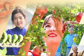 2025“金秋之旅・丰收的新疆” 主题摄影作品征集大赛正式启动