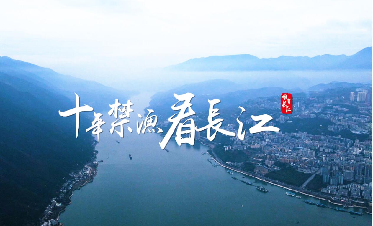 长江十年禁渔宣传作品征集,邀您共护生态