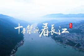 长江十年禁渔宣传作品征集，邀您共护生态