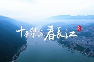 长江十年禁渔宣传作品征集，邀您共护生态