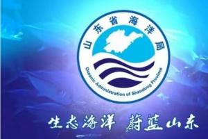 以镜头为笔 绘就山东海洋的蓝色诗篇 ——2025海洋摄影大赛征稿