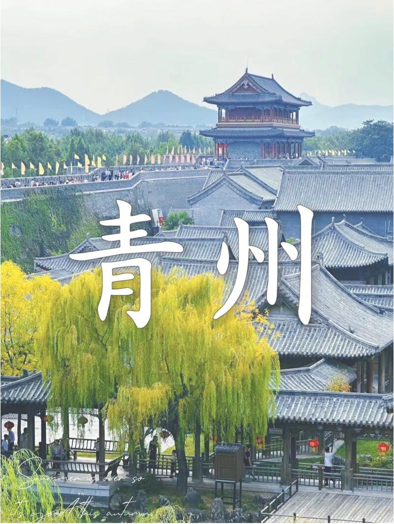 解锁状元文化新表达!十二生肖状元IP形象全球征集开启