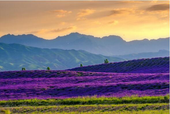 以文化为核，以创意为翼！霍城县首届文创产品设计大赛全国征稿