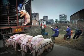 聚焦Lensculture大赛，一张好的街头摄影，藏着这些获奖密码