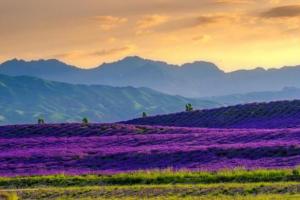 萃取霍城人文自然精华，首届文创产品设计大赛征稿进行时