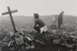 镜头下的温情共生，彭蒂・萨马拉蒂的自然诗意摄影之路