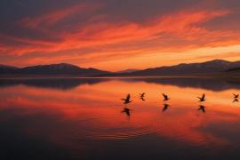 赋能 “一带一路” 霍尔果斯国际IP大赛唤醒丝路文化新活力