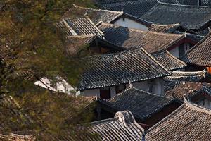 定格云岭志愿之美 ——“志愿彩云南” 文化标识（LOGO）公开征集进行中