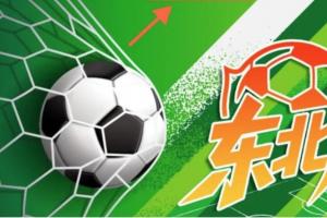 当东北风情遇足球激情！“东北超” 标识+吉祥物征集，最高5万奖金召唤创意达人