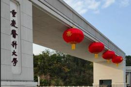 定格重医70年风采！校庆LOGO+IP形象入围作品亮相，投票通道同步上线