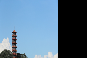 潮创红花山！公园品牌 IP&Slogan 全民创意征集