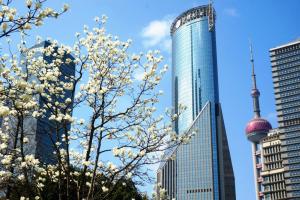 2026上海国际花卉节重磅活动 白玉兰文创设计大赛开启征集