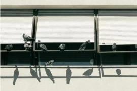 打破边界！照片到海报的设计焕新实验