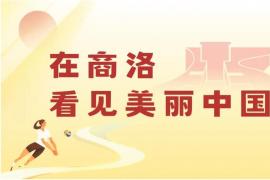 含 “秦岭” 元素 商洛全域公用品牌商标设计面向社会征集