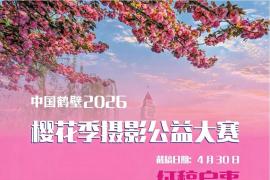 樱韵鹤壁光影筑梦 2026樱花季摄影公益大赛开启征稿