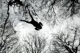 每一帧都是极致！2026英国野生动物摄影大奖获奖作品盘点