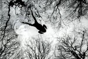 每一帧都是极致！2026英国野生动物摄影大奖获奖作品盘点