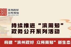 阳光政务・创意赋能｜滨州市 “滨周知” IP 形象公开征集