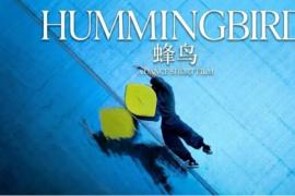 全球数千部作品角逐，北舞师生共创《蜂鸟》亮相第79届戛纳短片角