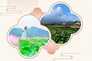 赏芦山荷塘，绘乡村新意！2026荷美芦山设计大赛正式开启