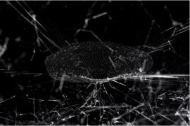 超现实主义的生态先声：从诗性想象到跨物种共生美学