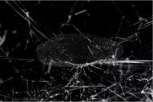 超现实主义的生态先声：从诗性想象到跨物种共生美学