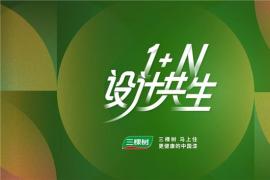 1+N设计共生，共创美好人居｜三棵树2026半年度设计师研学系列活动圆满落幕